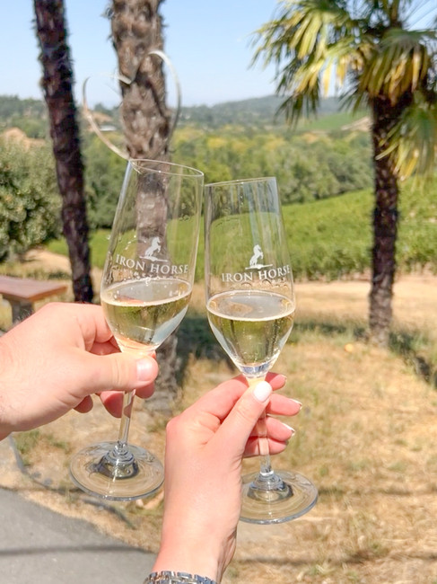 Are you a couple planning a wine-tasting trip to Sonoma & Napa Valley California?! Then you are in the right place! Whether you are on your honeymoon or celebrating your wedding anniversary, Rich & Kitch - your luxury travel advisors - have the perfect itinerary for your trip to Northern California wine country!