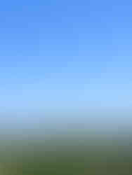 Are you a couple planning a wine-tasting trip to Sonoma & Napa Valley California?! Then you are in the right place! Whether you are on your honeymoon or celebrating your wedding anniversary, Rich & Kitch - your luxury travel advisors - have the perfect itinerary for your trip to Northern California wine country!