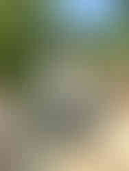 Are you a couple planning a wine-tasting trip to Sonoma & Napa Valley California?! Then you are in the right place! Whether you are on your honeymoon or celebrating your wedding anniversary, Rich & Kitch - your luxury travel advisors - have the perfect itinerary for your trip to Northern California wine country!