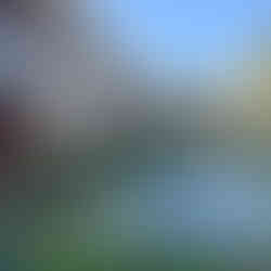 Looking for a luxury resort for your destination wedding and/or honeymoon? Look no further than Cabo San Lucas, Mexico! Los Cabos, Mexico has some of the best luxury resorts in the world & they are perfect for destination weddings & honeymoons! Rich & Kitch, your luxury travel advisors, can offer amazing perks when booking your stay at the best luxury resorts in Cabo San Lucas, Mexico, too. Keep reading to find out our favorite resorts for your luxury destination wedding & honeymoon!