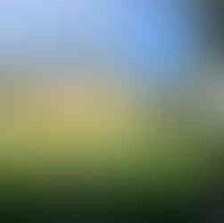 Chileno Bay Resort Cabo, luxury resorts Cabo San Lucas, swimmable beach resorts Cabo, top Auberge resorts Mexico, best snorkeling beaches Cabo, COMAL restaurant Cabo, YAYA restaurant Cabo, Hello Fora travel perks Cabo, destination weddings Cabo San Lucas, honeymoon resorts Cabo, anniversary trips Los Cabos, beachfront luxury resorts Mexico, tropical luxury vacations Cabo, top-rated spa resorts Cabo, family-friendly luxury villas Cabo, romantic getaways Cabo San Lucas, exclusive travel advisor perks Cabo, Auberge Resorts Collection Chileno Bay, Cabo resorts with private villas, beachfront luxury in Cabo.