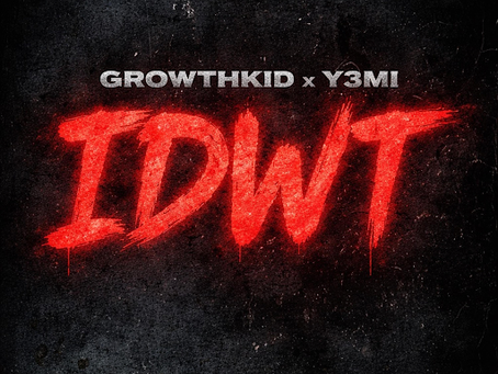 IDWT LOGO