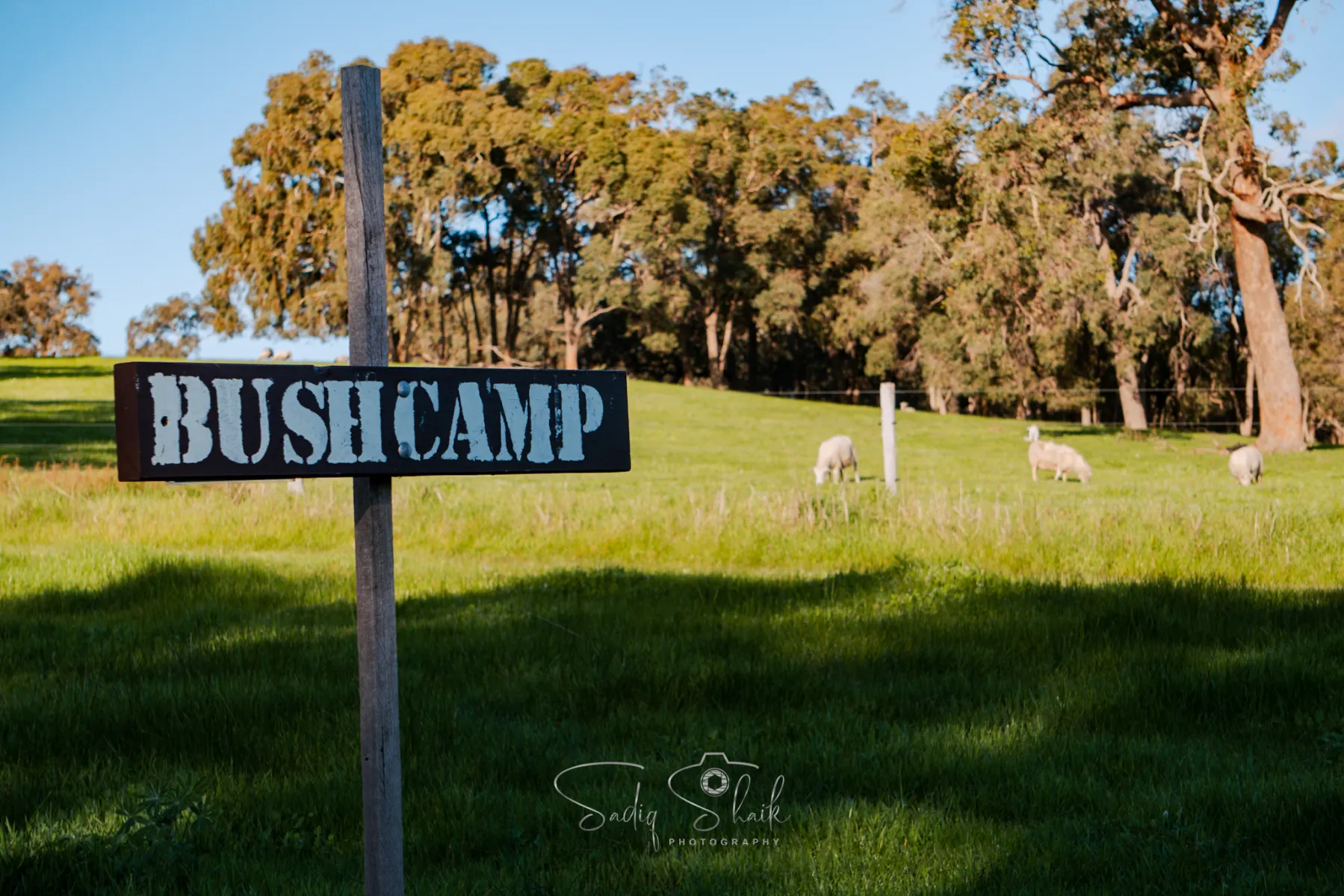 BUSH CAMP
