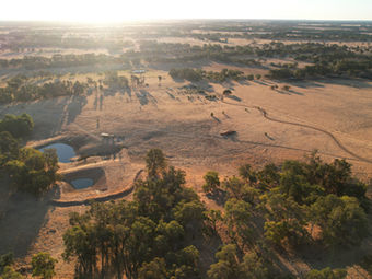 Sustainable Farming: A Radical Journey (Podcast)