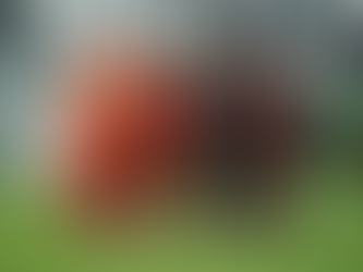 Settling Into Life as an International Student-Athlete