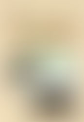 4° incontro del ciclo La vita delle piante