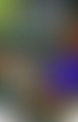  EXCALIBUR - Cineforum della rosa -