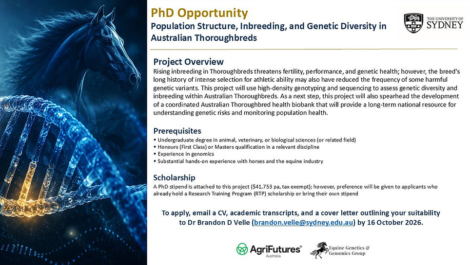 PhD Position Flyer-USyd.jpg