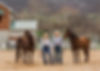 Western wear hats on Back to Basics Western Wear clients at their Dillsburg, PA farm holding the reins to the horses