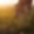 CowSunrise
