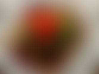 Wir empfehlen | Aktuelles aus unserer Speisekarte