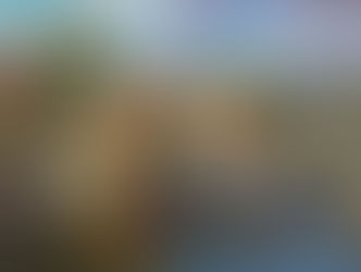 LAZ Artist Competition Spring/ Summer 2017