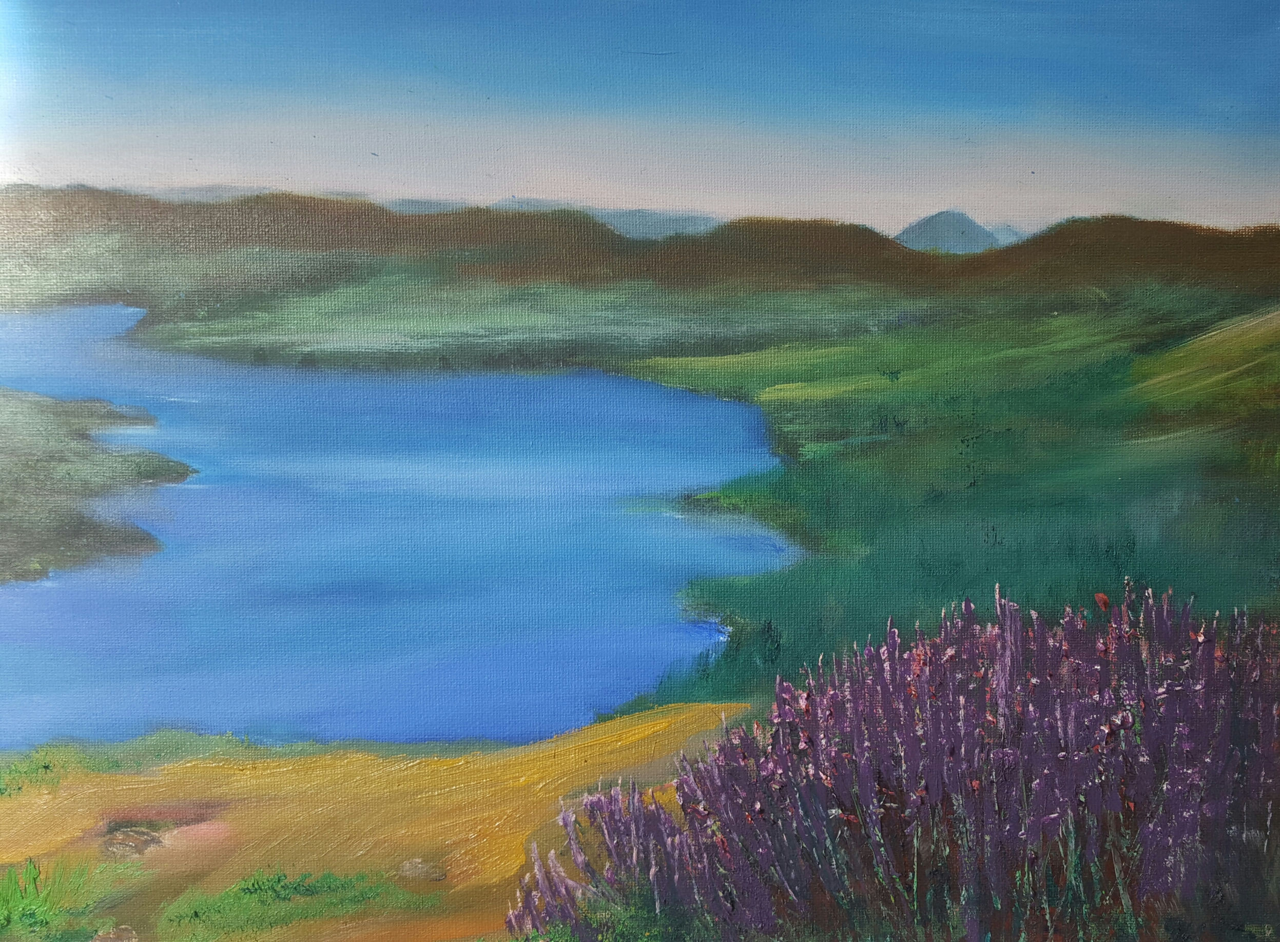 by Jillian Warrington Oil on canvas Size cm 30x