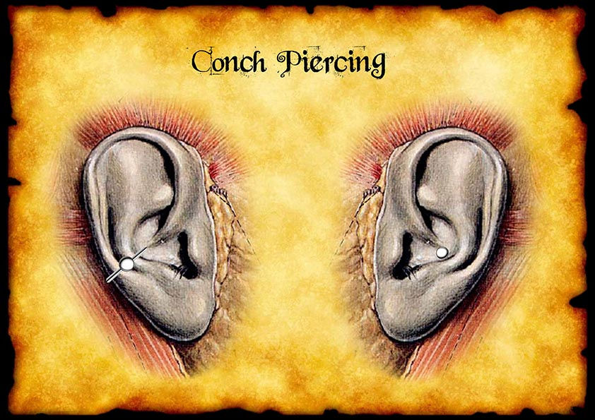 Conch