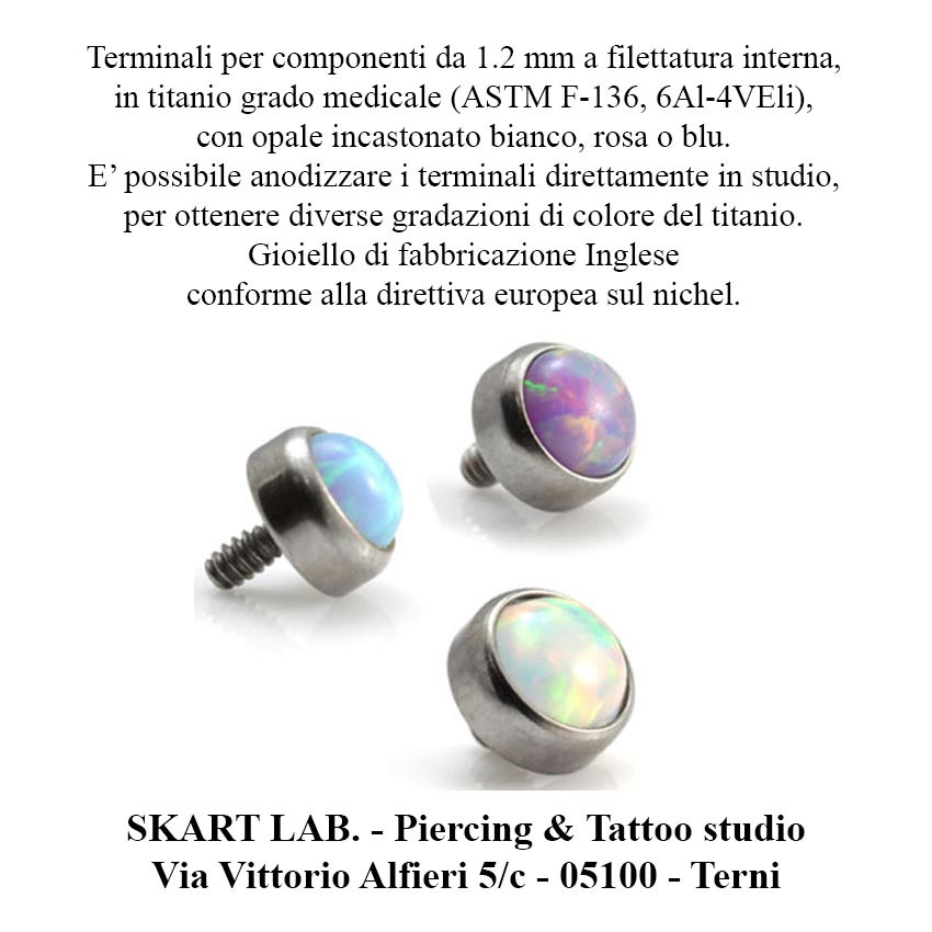 Opal Internal Thread Diskjpg