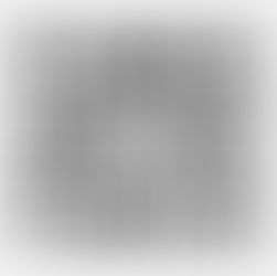 „Die Union hat kein Konzept“