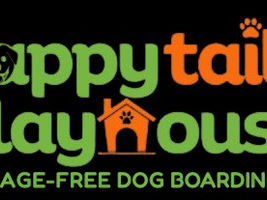 Dog Daycare Centers: What Every Pet Parent Should Know Before Enrolling