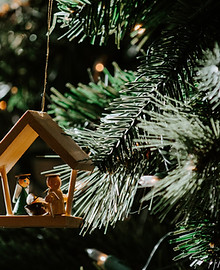 Synodalrat Dez 25.jpg