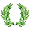 Leaves Laurel