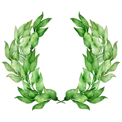 Leaves Laurel