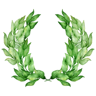 Leaves Laurel