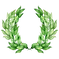 Leaves Laurel