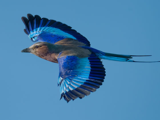 Is It Real, or Is It...Photoshopped?