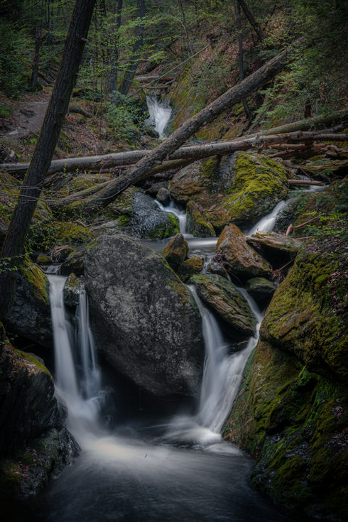 Spruce Brook Lightroom-4717.jpg