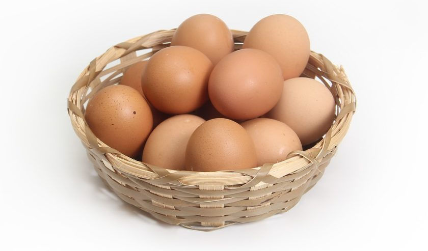 Telur