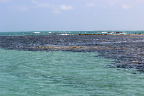 IMG_0805.JPG
