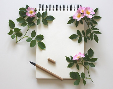 notebook-3397136_1280.jpg