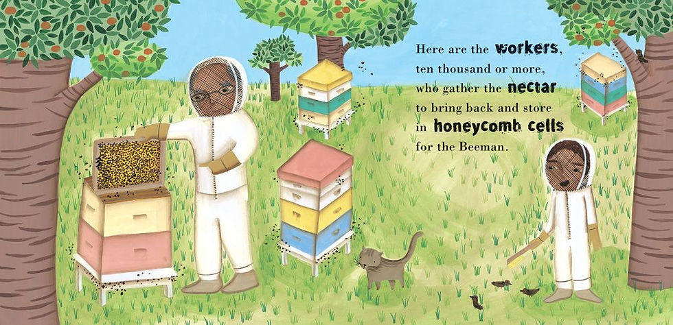 Thumbnail: The Beeman | Barefoot Books NZ (Community Bookseller)