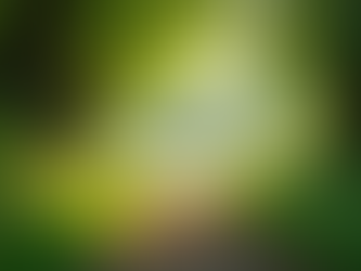 Welcome to Altherae Your Journey to Transforming Life and Relationships Starts Here