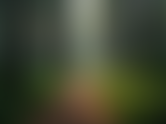 Navigate Life's Curveballs: How Unexpected Career Changes Can Transform Your Path