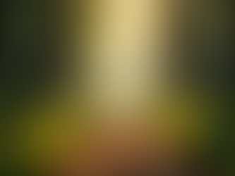 Understand Your Inner Fight, Flight, or Freeze Response for Better Emotional Wellbeing