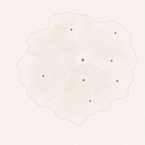 Carte Alès et agglomeration