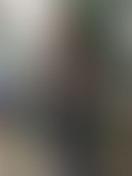 Caminhando e cantando...