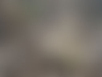 ....Filippo e Epipogium aphyllum...