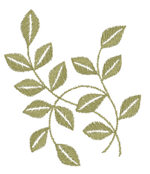 Growing Vines