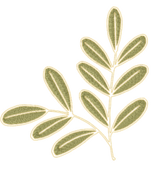 Branch with Leaves
