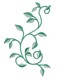 Swirled Vine