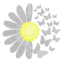 Daisy to Butterflies