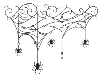 Spider Web