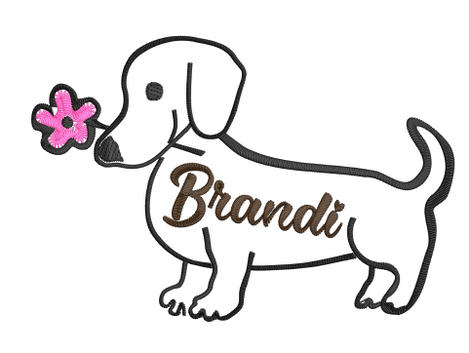 Dachshund - Brandi