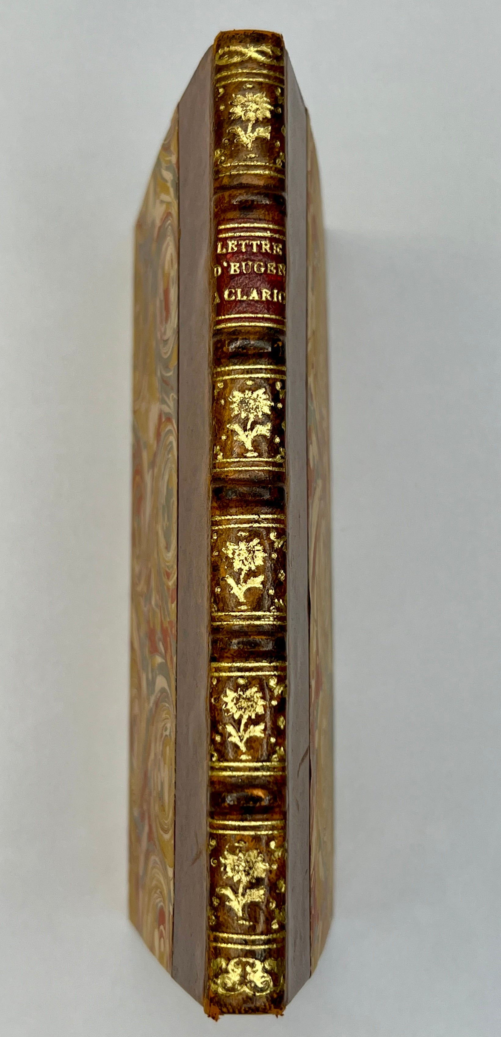 Abraham Trembley, Lettre d'Eugène à Clarice au sujet des animaux appellés polype