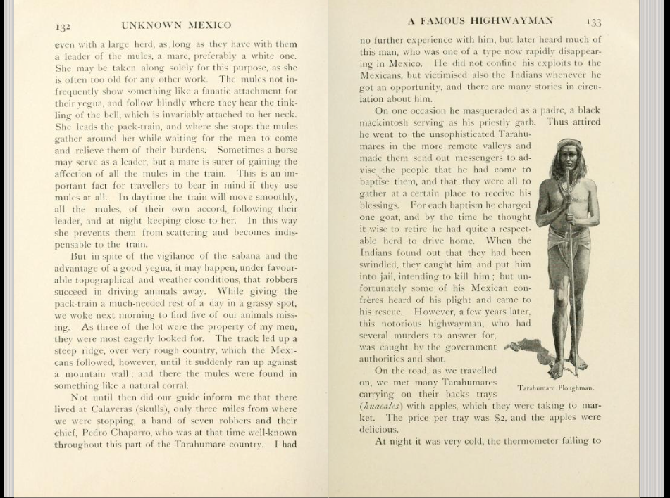 Thumbnail: Carl Lumholtz, Tarahumare Ploughman. 1909