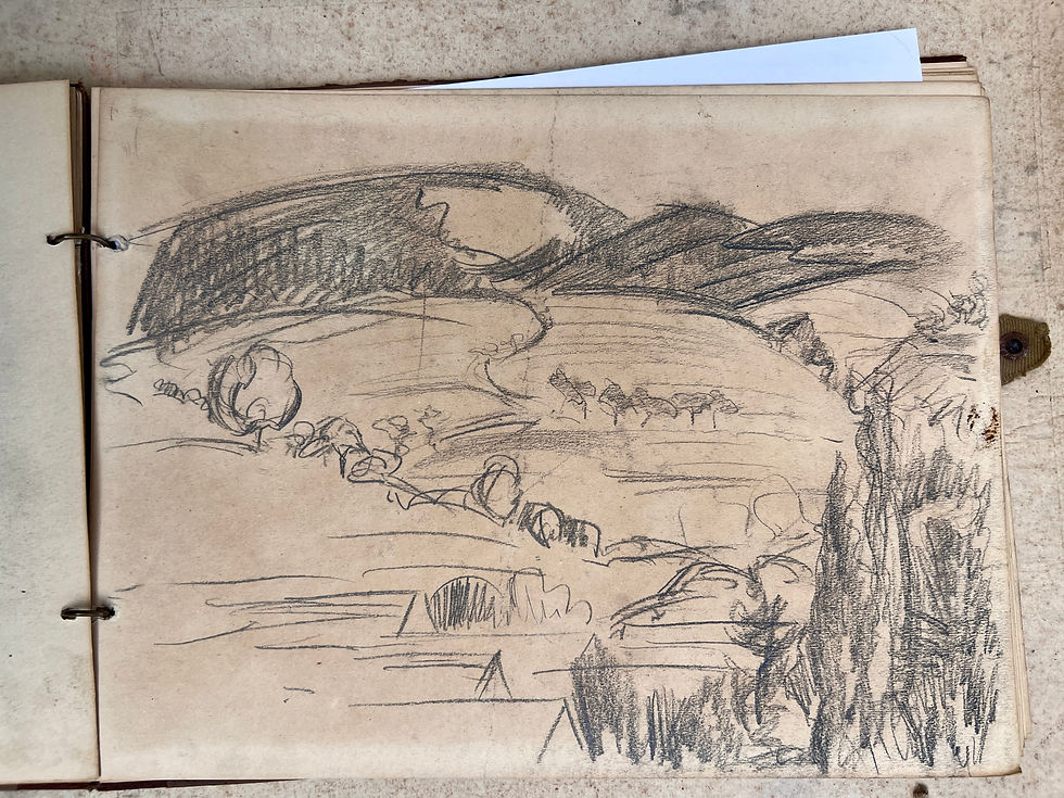 Thumbnail: Fokke Mees original drawings