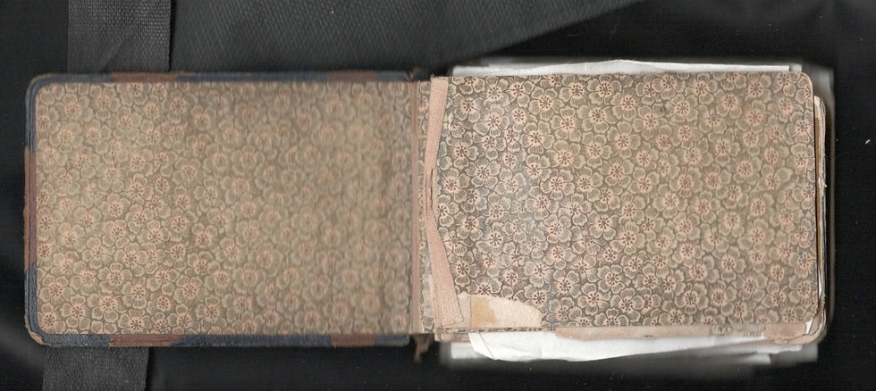 Photo album containing pictures of the Bagration familly