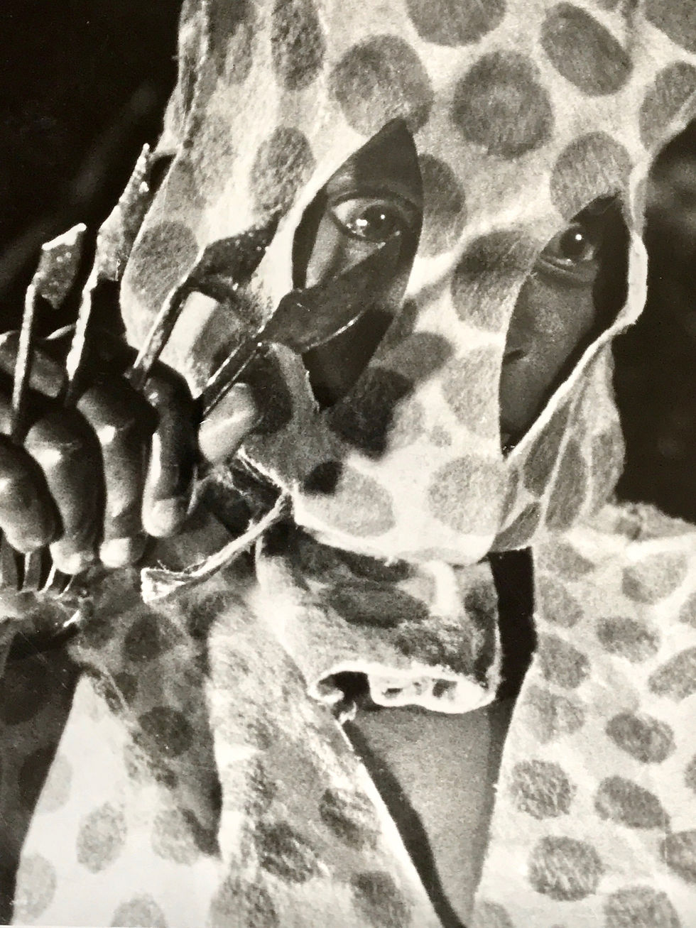 Andre Cauvin Homme Leopard Photography