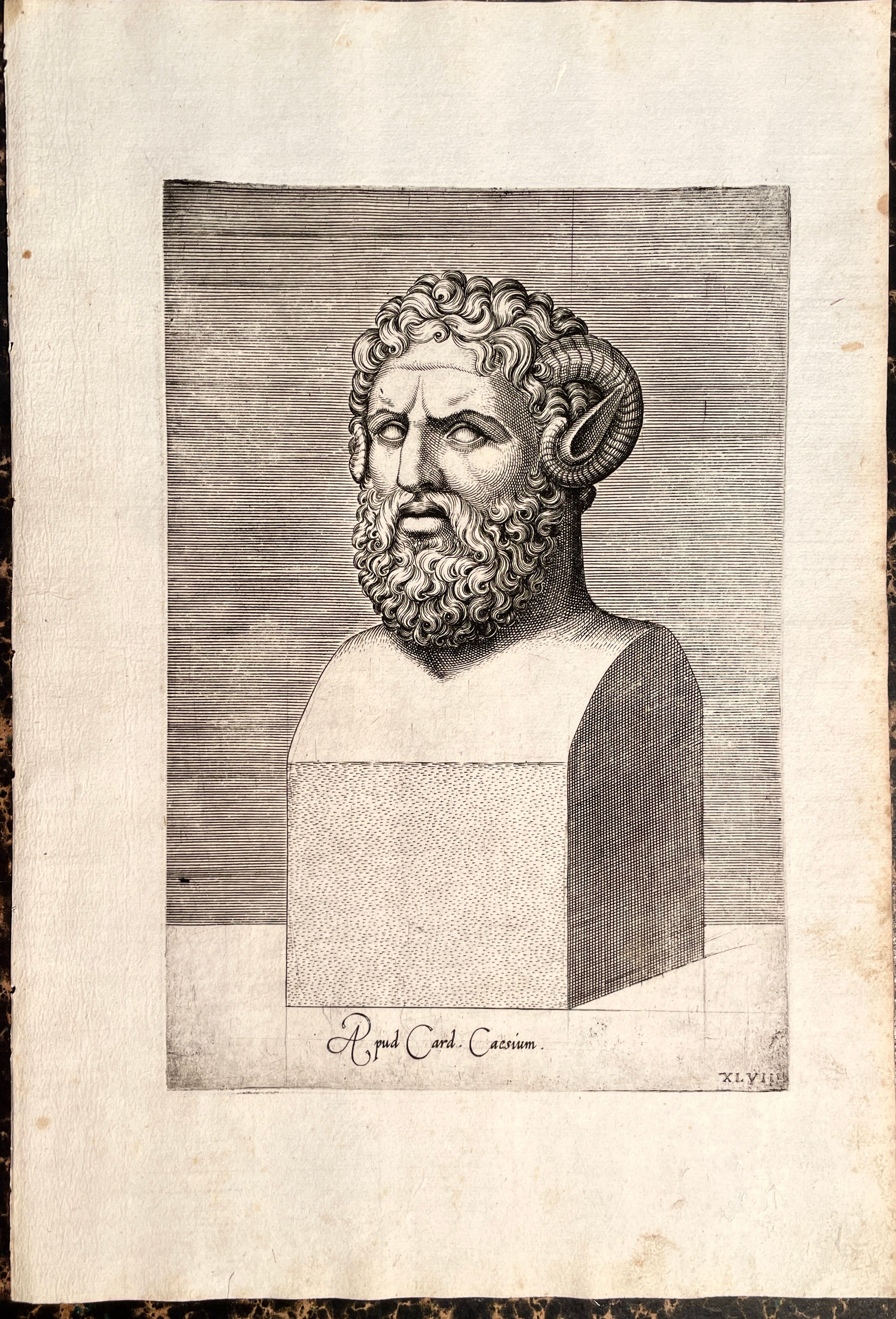 Agostino Veneziano Portrait of Zeus Ammon